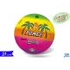 PALLONE 'VOLLEY MIAMI' 21CM