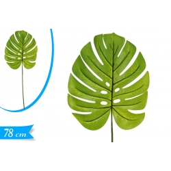 FOGLIA MONSTERA