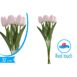 TULIPANI GOMMA ROSA-5PZ