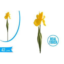 IRIS GOMMA GIALLO 42CM