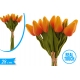 TULIPANO  GOMMA MAZZETTO ARANC. 12PZ 28C