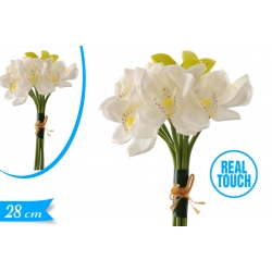 ORCHIDEA GOMMA MAZZETTO 7PZ BIANCO 28CM