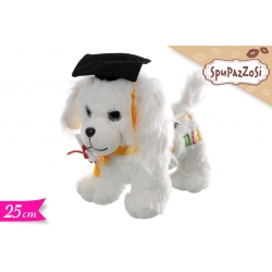 CANE C/CAPPELLO LAUREA