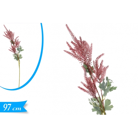 ASTILBE