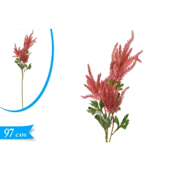 ASTILBE